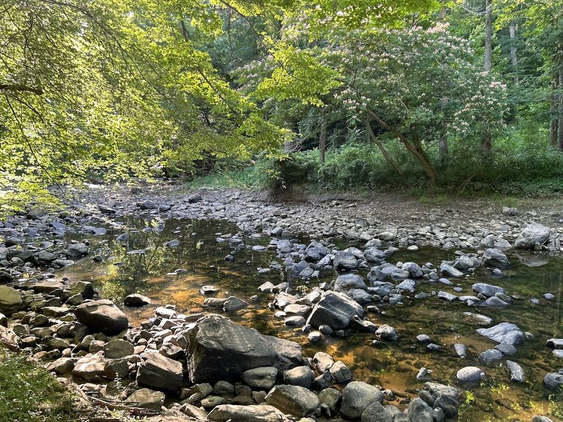 Birdwatching and Wildlife Spotting Opportunities