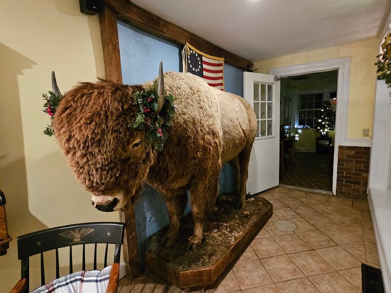 Bison on the Menu and on the Walls