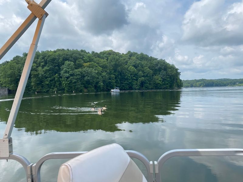 Boating Adventures at the Lake Logan Marina