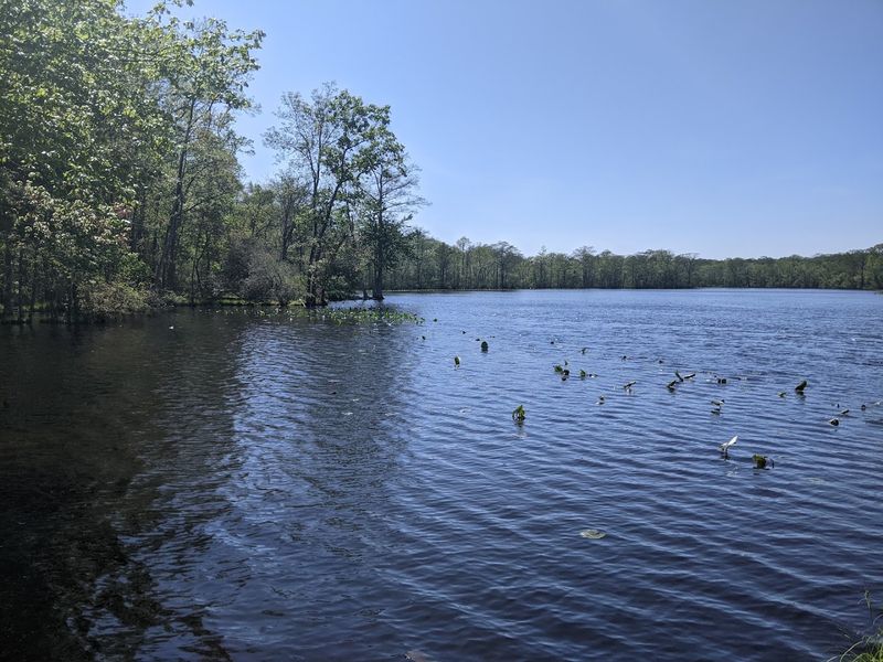 Boating and Boat Launch Facilities