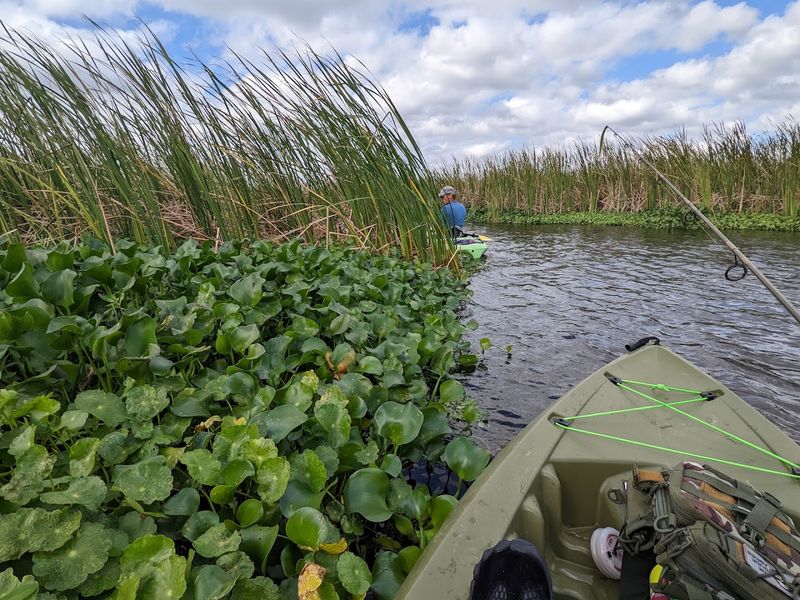 Boating and Kayaking: Hit the Water Your Way Boating and Kayaking: Hit the Water Your Way