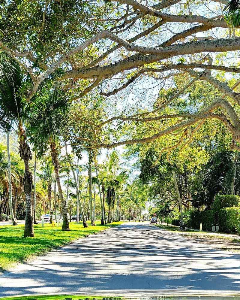 Boca Grande's Bike-Friendly Culture Boca Grande's Bike-Friendly Culture