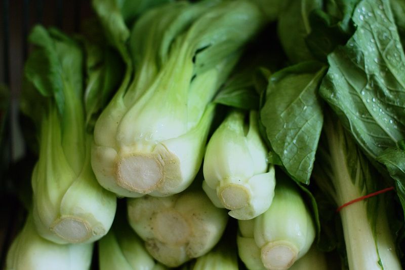Bok Choy Bok Choy