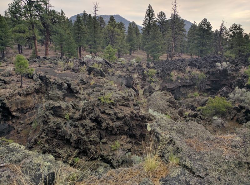 Bonito Campground - Flagstaff, Arizona