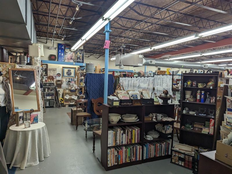 Books, Comics, and Paper Treasures