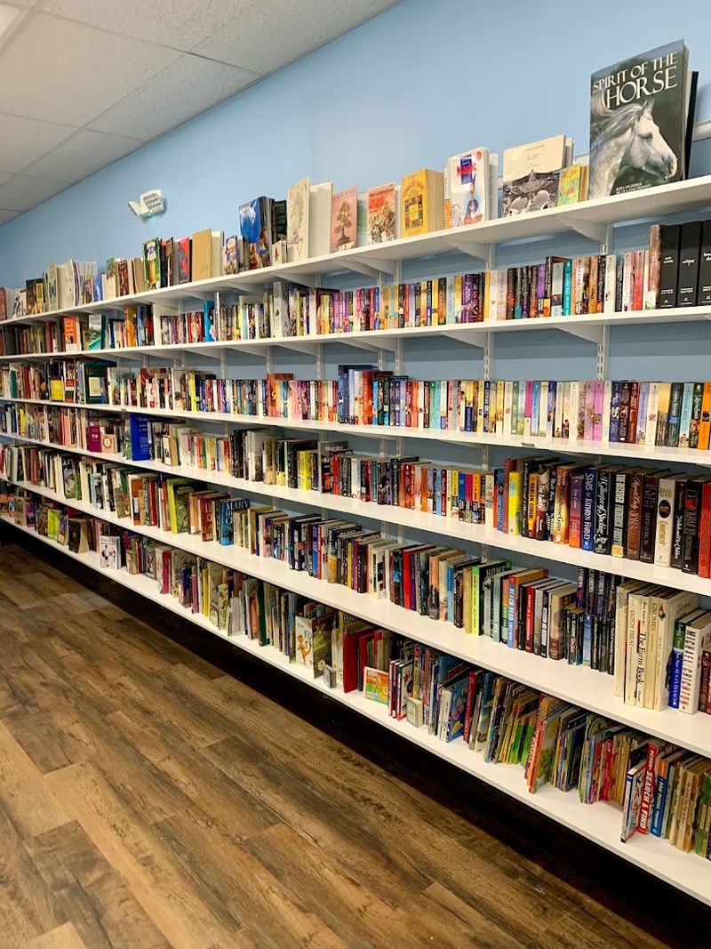 Books and More for Every Type of Shopper
