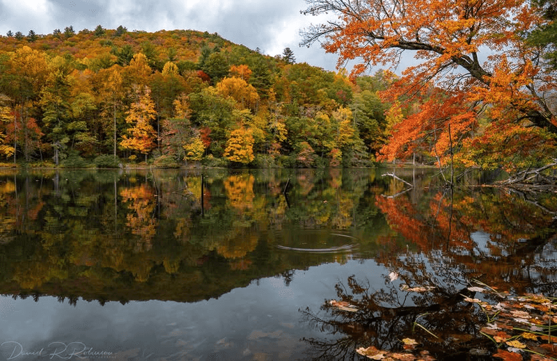 Breathtaking Fall Foliage That Rivals Any In The South Breathtaking Fall Foliage That Rivals Any In The South