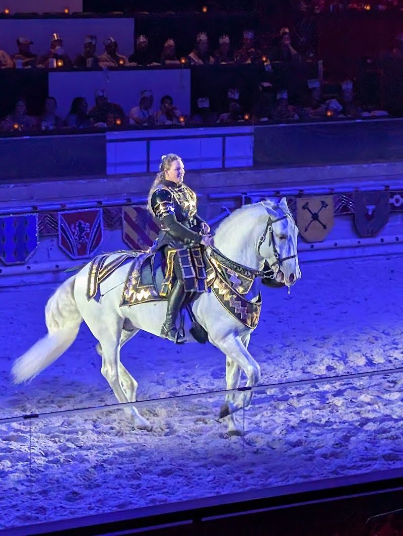 Breathtaking Horsemanship That Steals Every Scene
