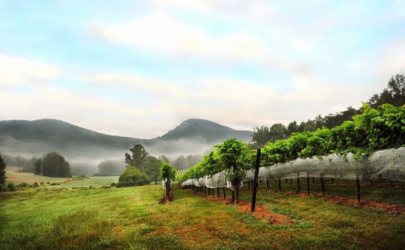 Breathtaking Views of Yonah Mountain at Every Turn