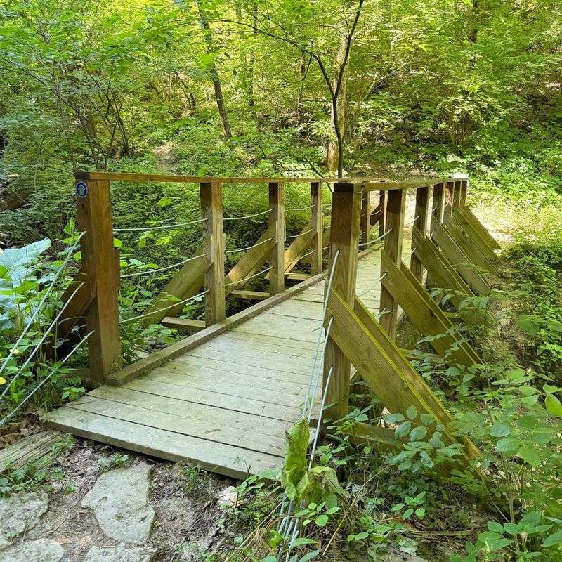 Bridges Along the Trail That Are Made for Photos