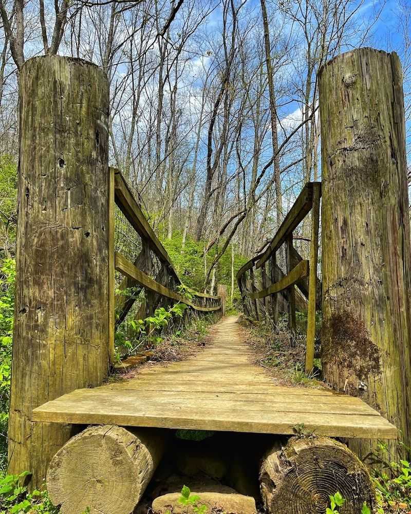 Bridges Over Babbling Creeks Worth Every Single Photo Bridges Over Babbling Creeks Worth Every Single Photo