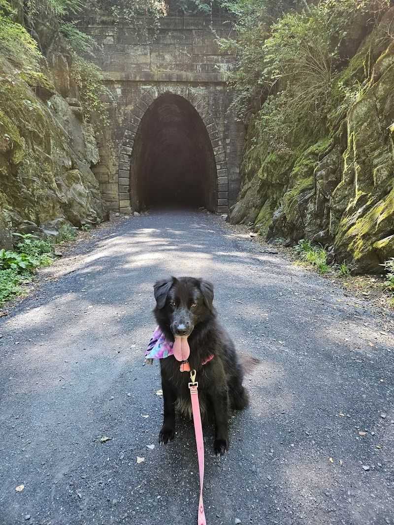Bringing Dogs on the Blue Ridge Tunnel Trail