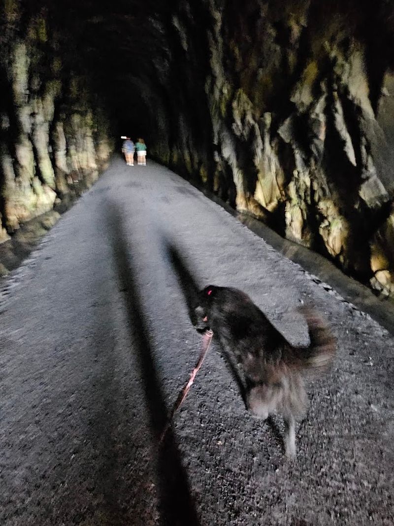 Bringing the Right Gear: Flashlights Are a Must Bringing the Right Gear: Flashlights Are a Must