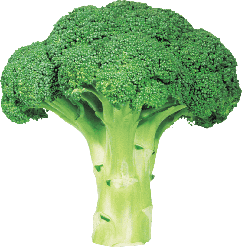 Broccoli Broccoli