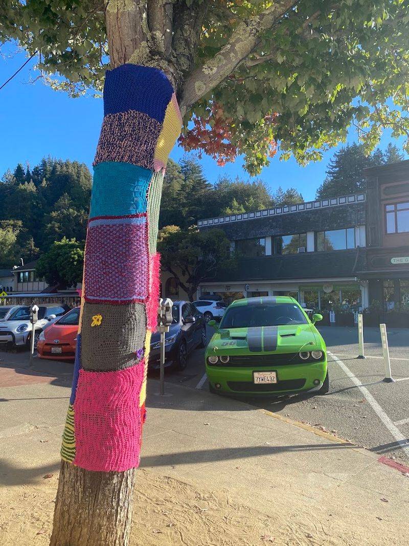 Browse the Mill Valley Farmers Market