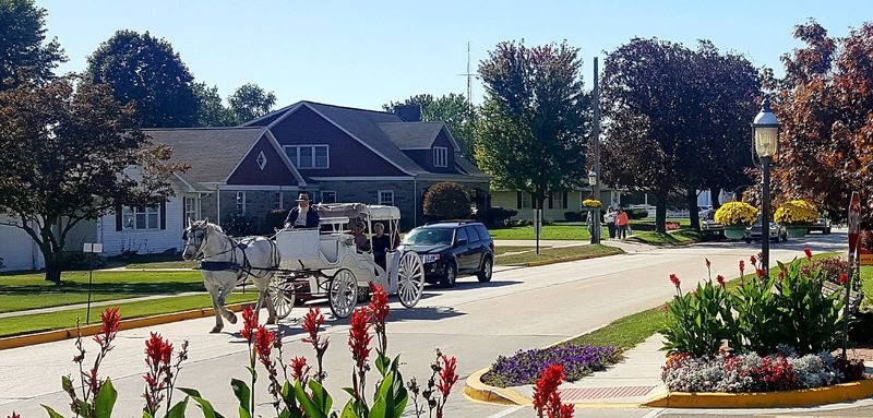 Buggy Rides and Countryside Tours