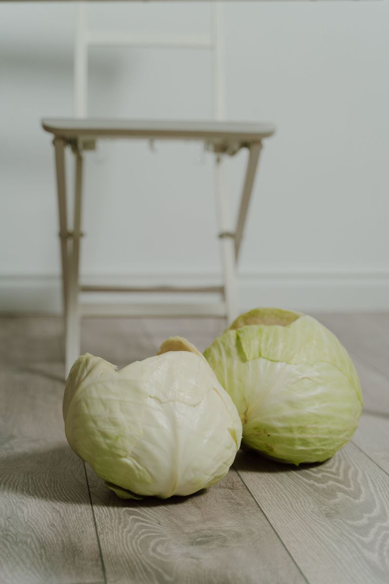 Cabbage