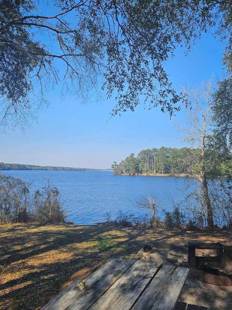 Cabin Rentals for a Comfortable Getaway Cabin Rentals for a Comfortable Getaway