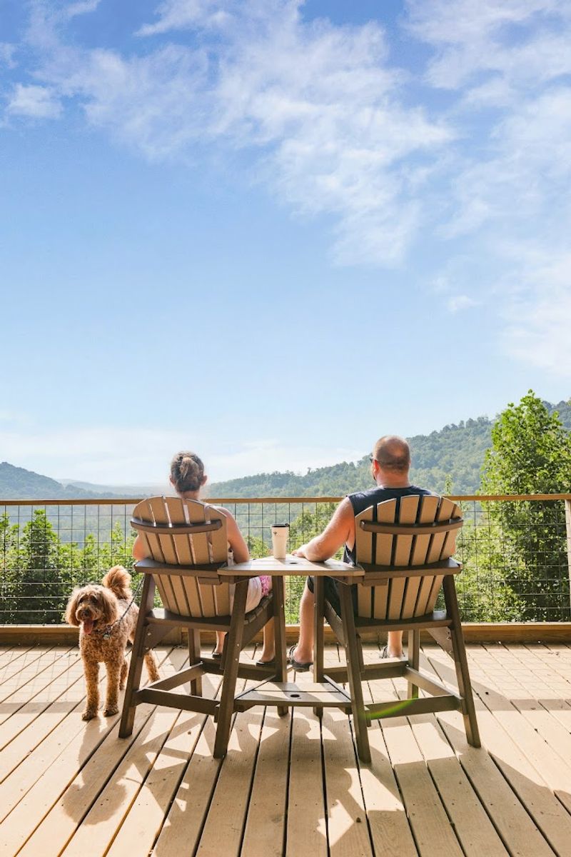 Cabin Stays With Views That Stop You Mid-Sentence Cabin Stays With Views That Stop You Mid-Sentence