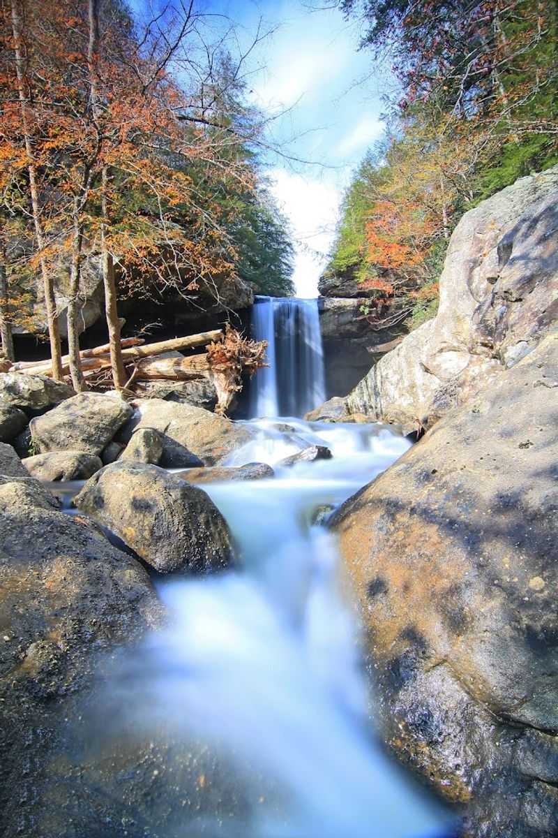 Cabins and RV Camping for Extended Stays