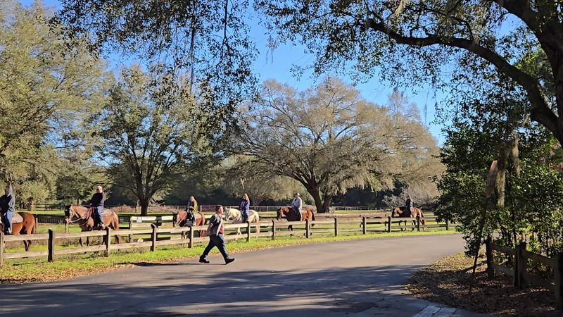 Cactus Jack's Trail Rides & Farm Tours - Ocala, Florida Cactus Jack's Trail Rides & Farm Tours - Ocala, Florida