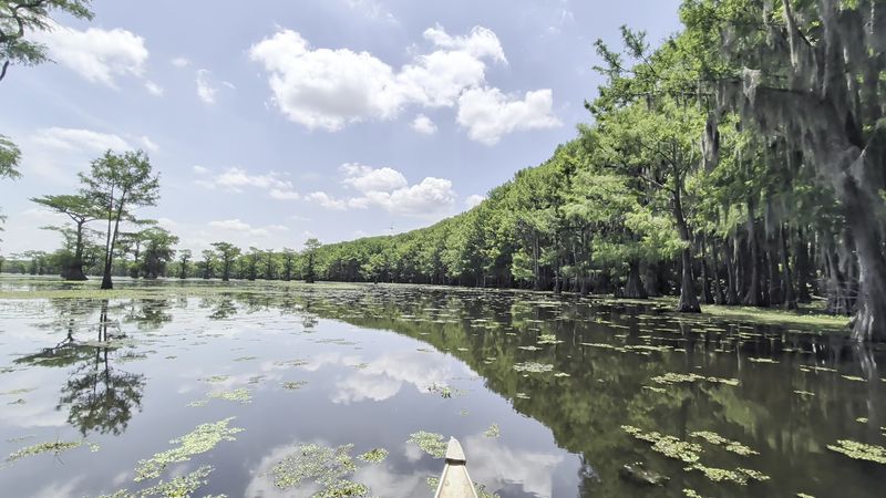 Caddo Lake State Park - Karnack, Texas Caddo Lake State Park - Karnack, Texas