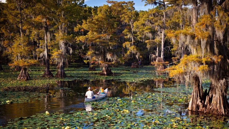 Caddo Lake State Park: Where the Wild Things Are