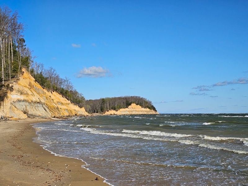Calvert Cliffs State Park – Lusby, Maryland Calvert Cliffs State Park – Lusby, Maryland