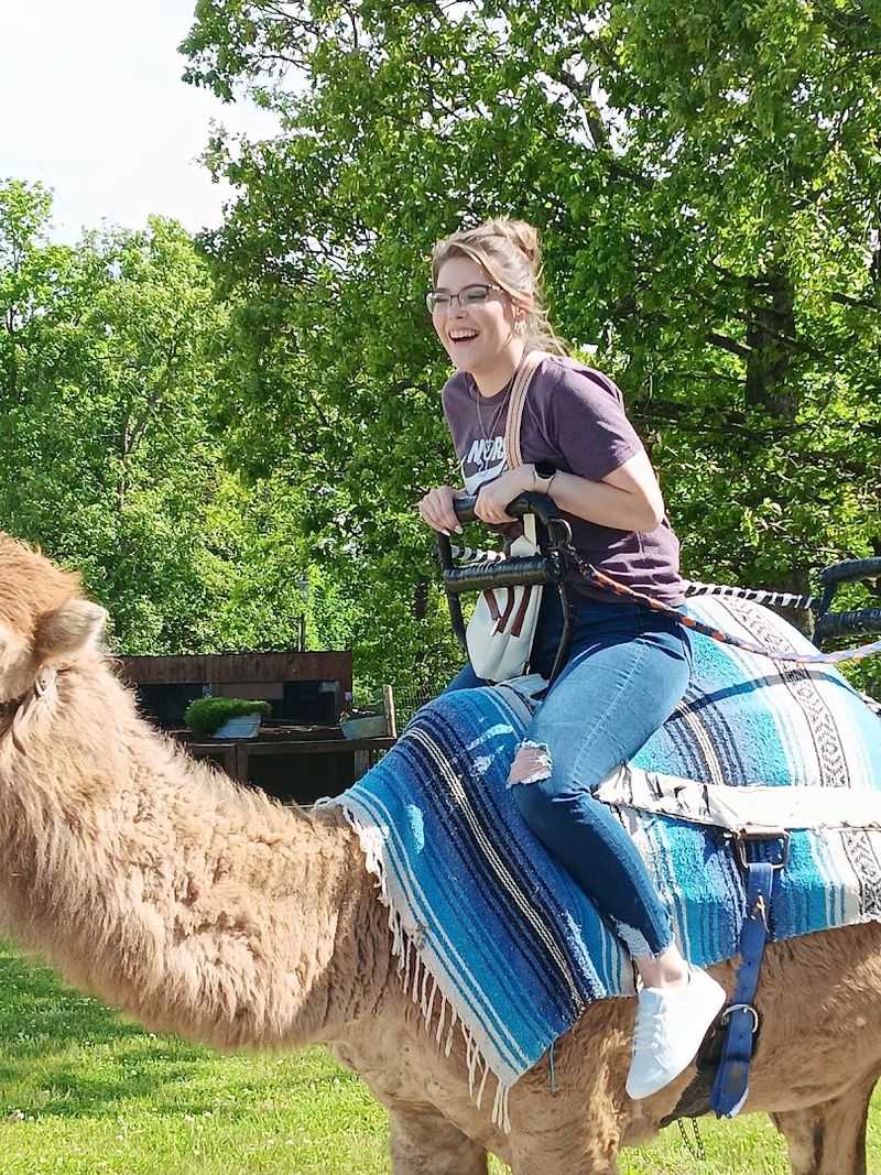Camel Rides You Won't Forget