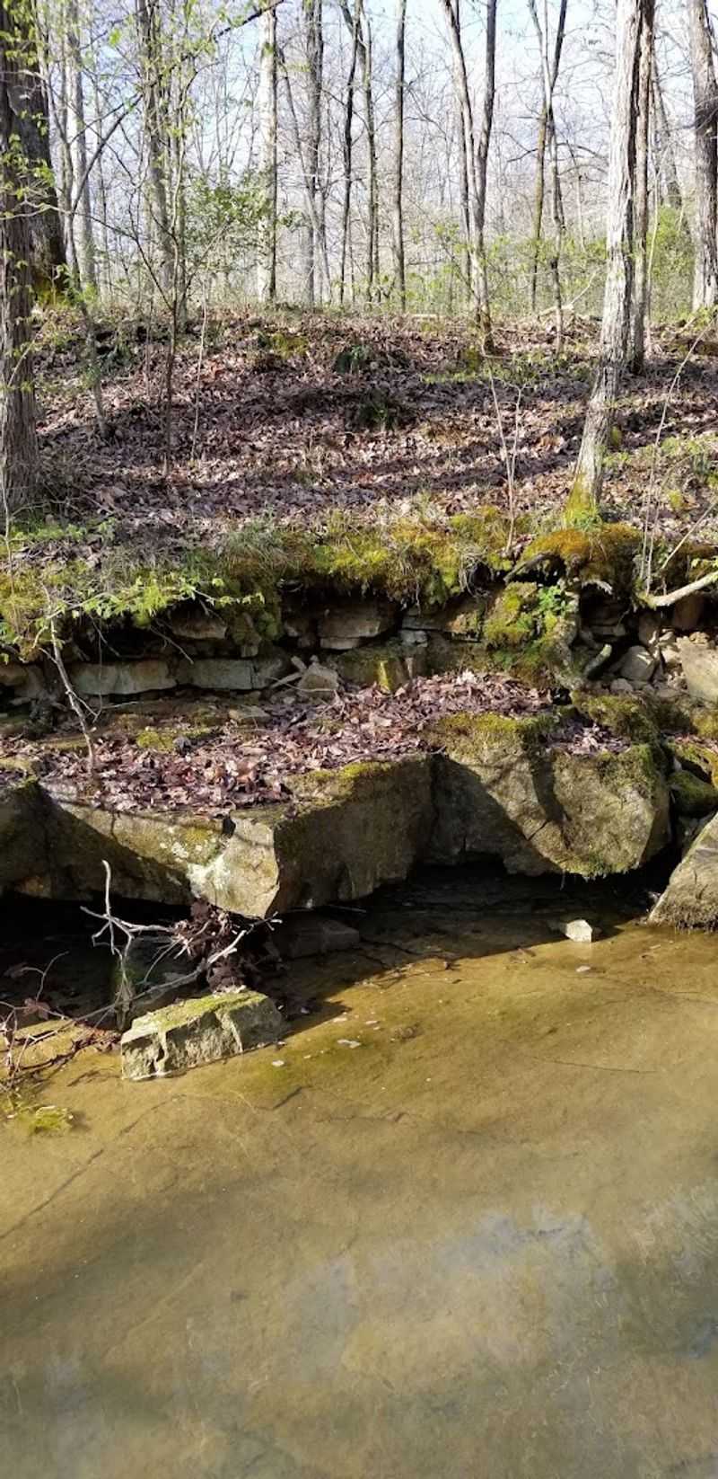 Camping Options Near the Trail for an Overnight Stay