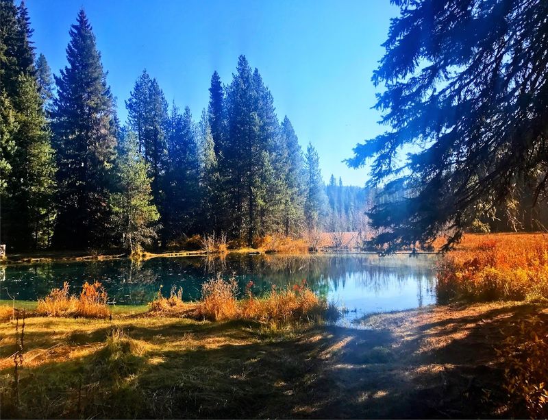 Camping Right Next Door at Little Crater Campground