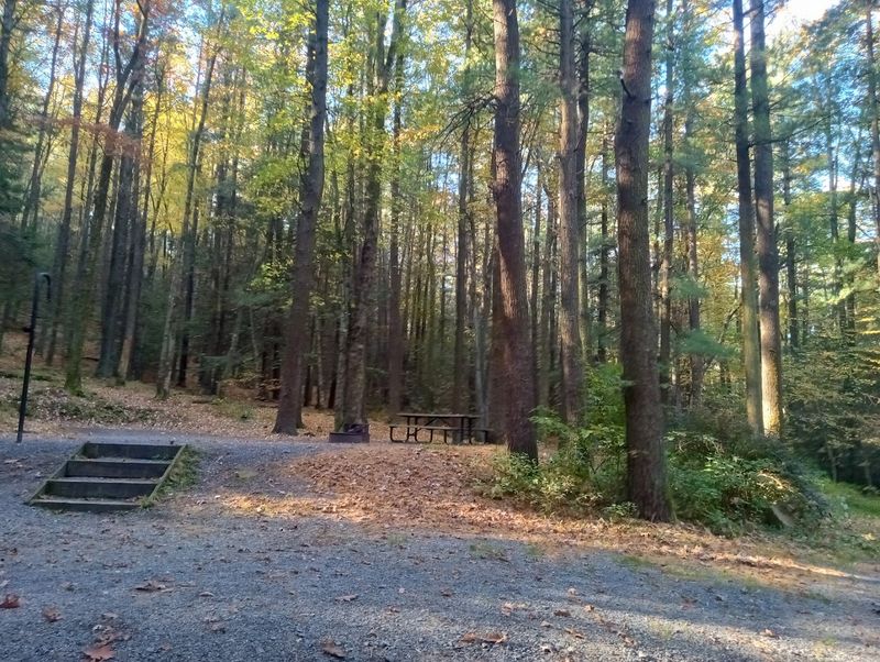 Camping Sites That Feel Peaceful and Private Camping Sites That Feel Peaceful and Private
