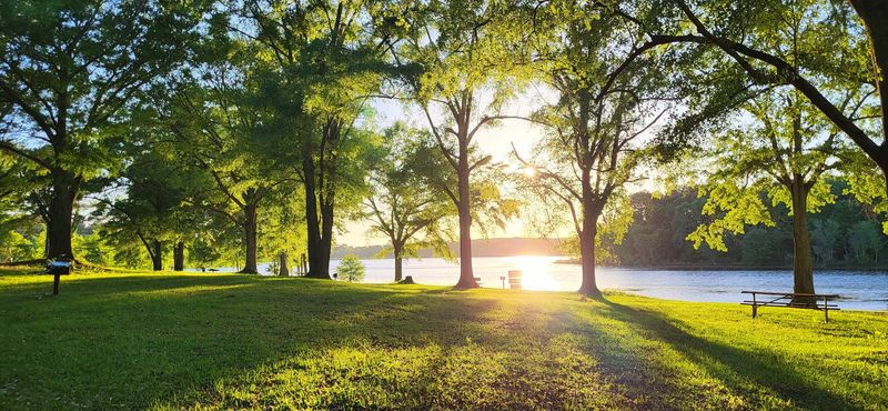 Camping Sites With Breathing Room to Spare