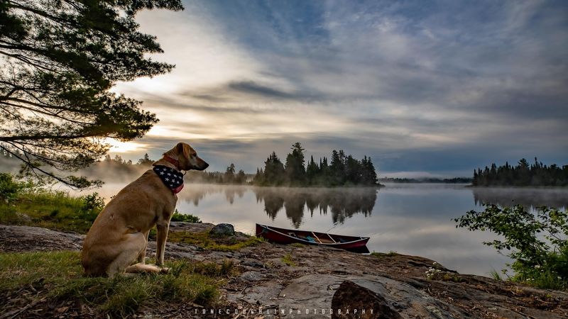 Camping Under a Blanket of Silence