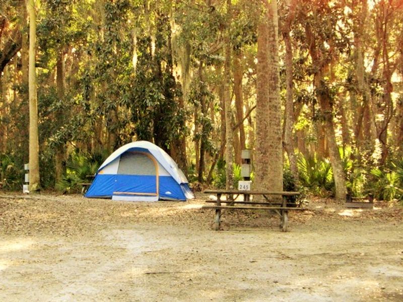 Camping Under a Canopy of Oaks and Palms