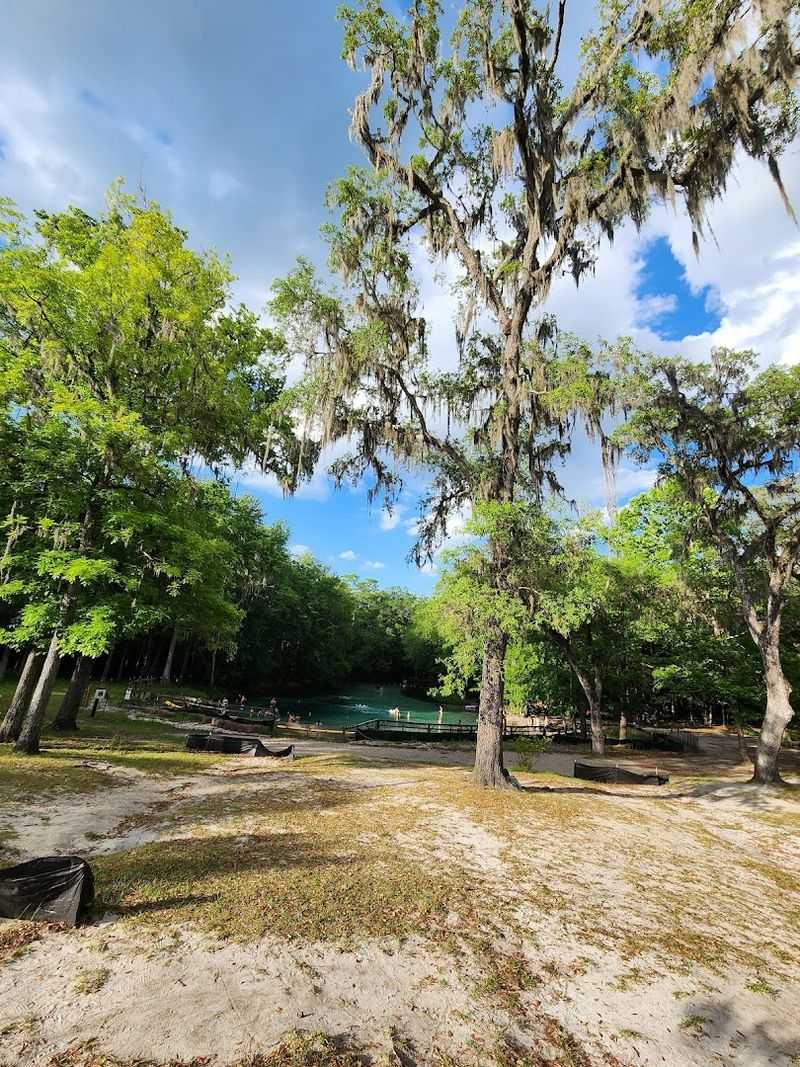 Camping Under the Stars at Gilchrist Blue Springs