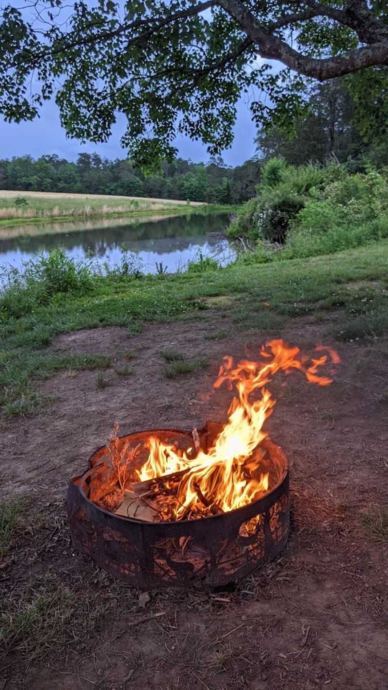 Camping Under the Stars at Lower Sherwood