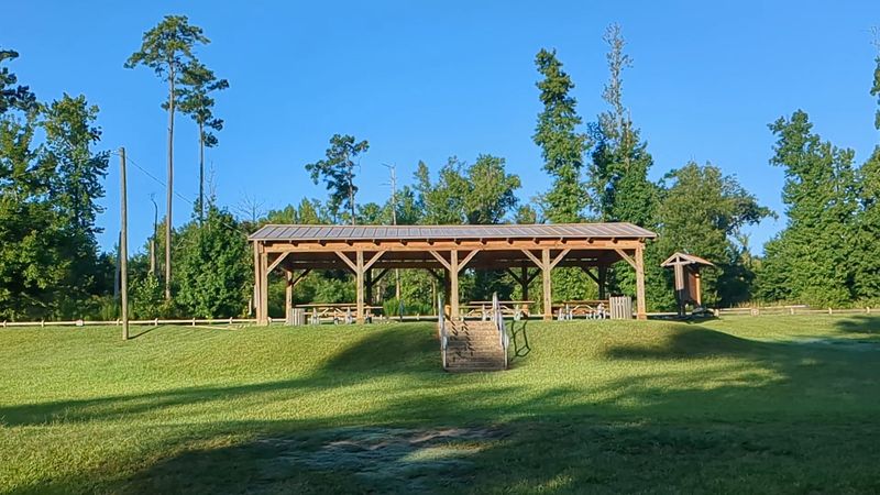 Camping Under the Stars at One of Florida's Most Peaceful Campgrounds