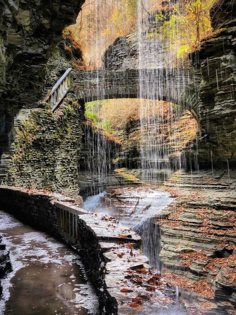 Camping Under the Stars at Watkins Glen