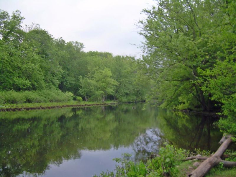 Camping Under the Stars in Warren County