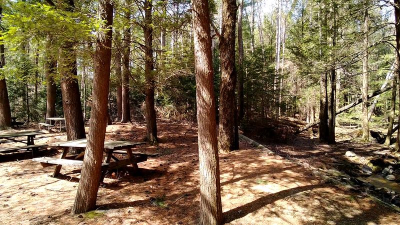 Camping Under the Stars in the Heart of Pennsylvania