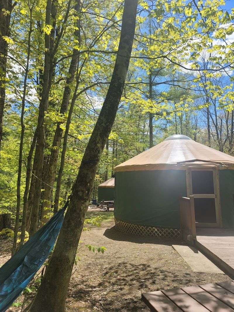 Camping With Yurts and Clean Facilities