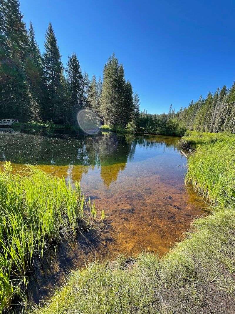 Camping at Little Crater Lake Campground