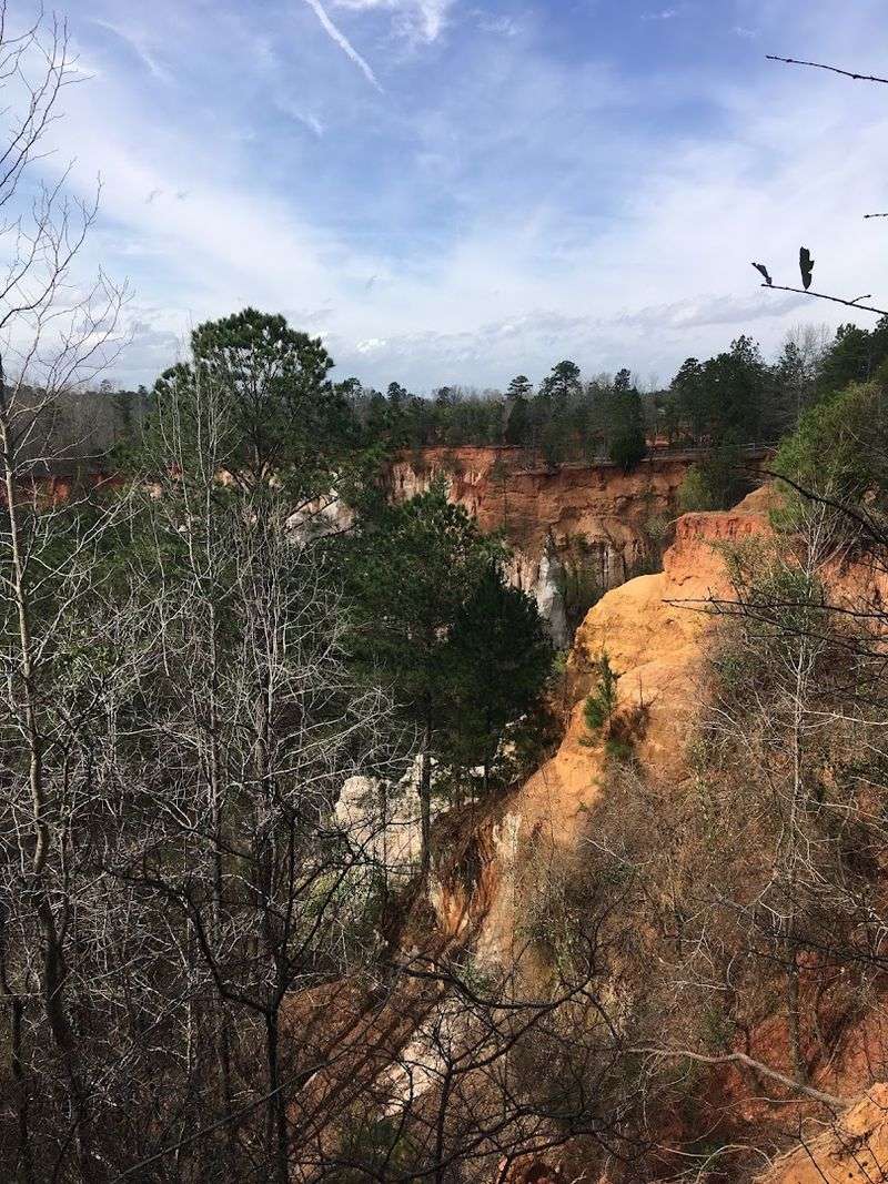 Camping at Providence Canyon: Sleeping Under the Stars in Canyon Country