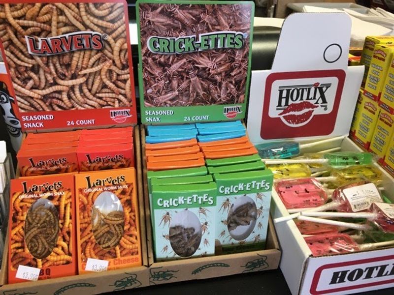 Candied Bugs And Novelty Snacks For The Adventurous Candied Bugs And Novelty Snacks For The Adventurous