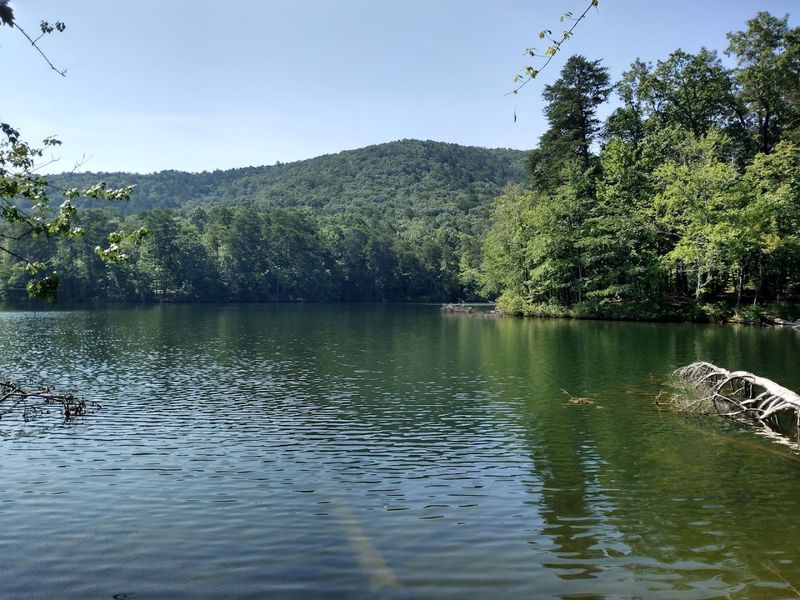 Canoe, Kayak, and Paddle Boat Rentals Canoe, Kayak, and Paddle Boat Rentals
