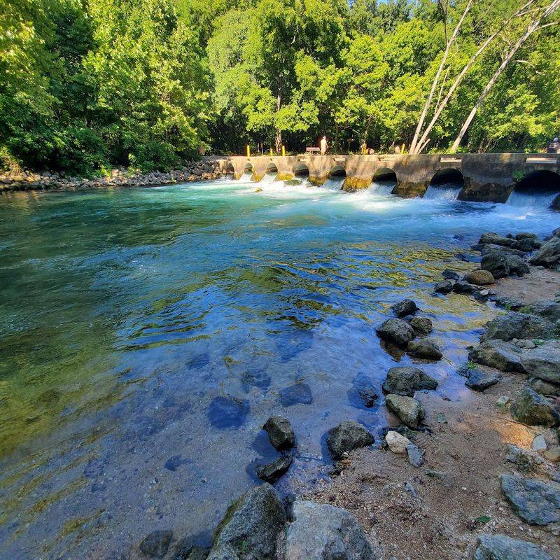 Canoeing and Floating the Nearby Niangua River
