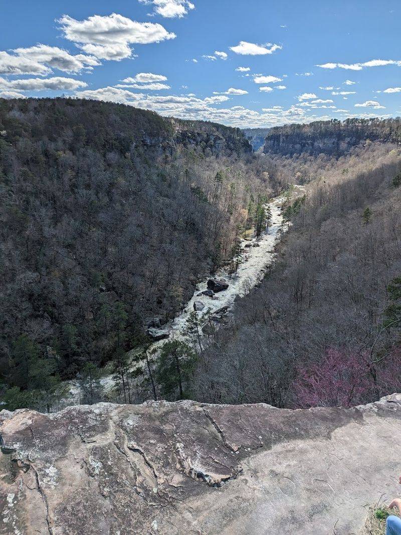Canyon Rim Scenic Drive That Steals the Show Canyon Rim Scenic Drive That Steals the Show