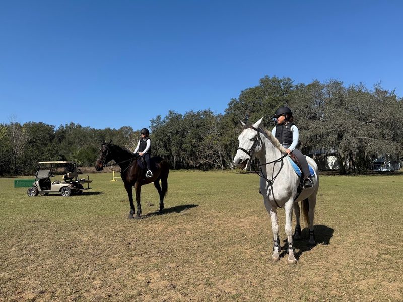 Capall Stables L.L.C. - Apopka, Florida Capall Stables L.L.C. - Apopka, Florida