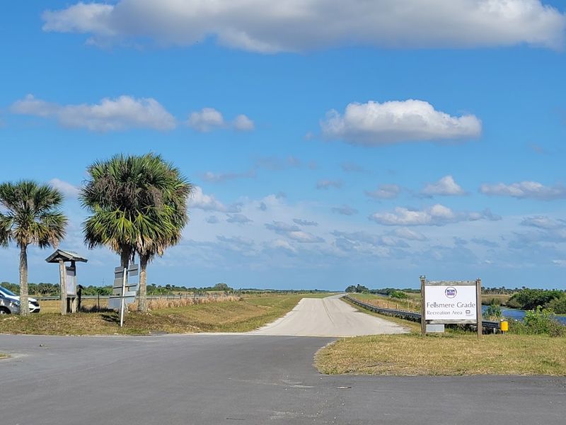 Car-Friendly Exploration for Those Who Prefer to Drive